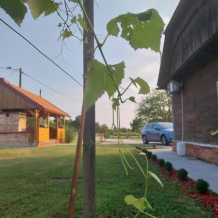 Villa Kuca Za Odmor Jopi I Mare Topusko Exterior foto