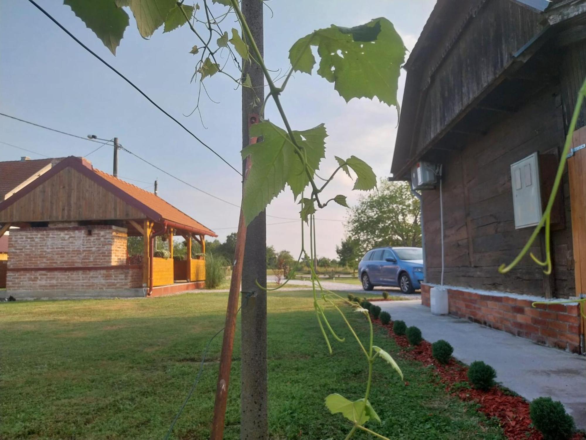 Villa Kuca Za Odmor Jopi I Mare Topusko Exterior foto