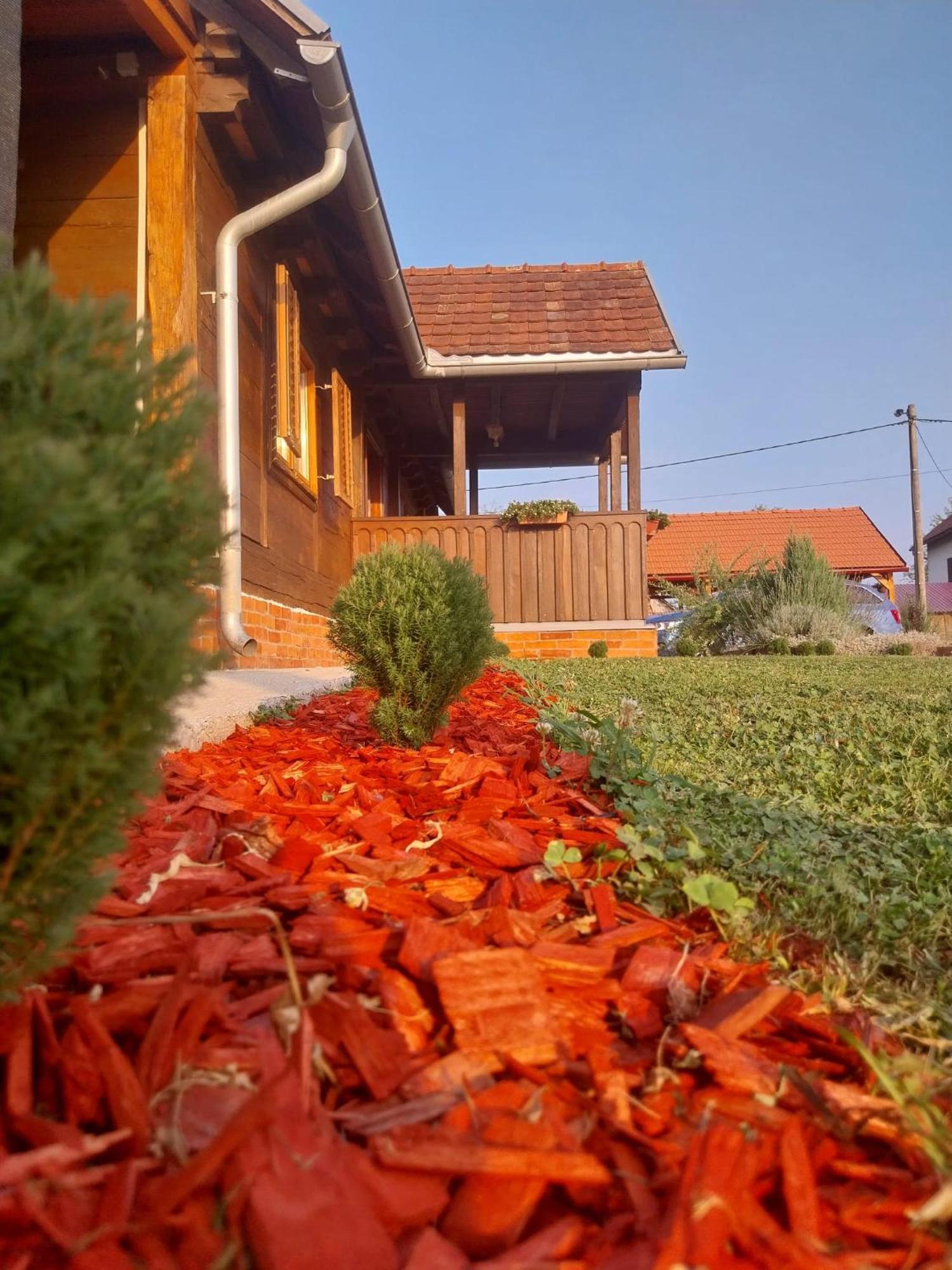 Villa Kuca Za Odmor Jopi I Mare Topusko Exterior foto