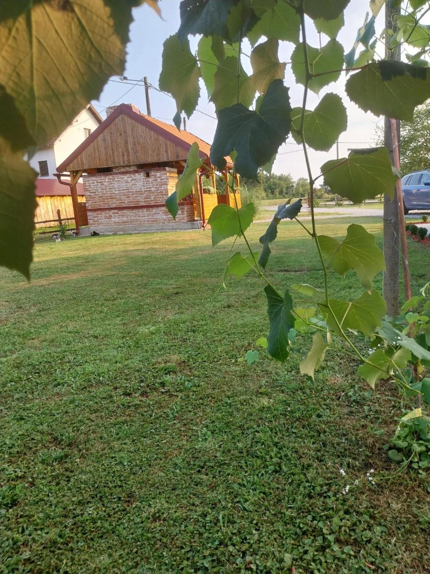Villa Kuca Za Odmor Jopi I Mare Topusko Exterior foto
